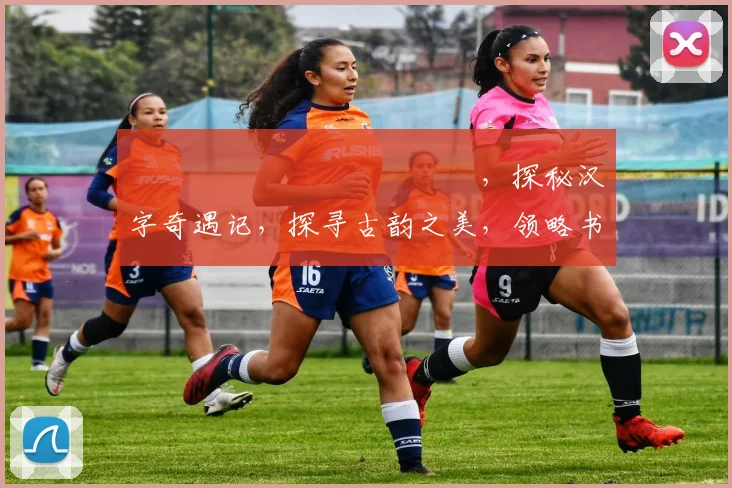 馫龘飝鱻灥麤靐飍馫譶龘，探秘汉字奇遇记，探寻古韵之美，领略书法神韵三重境