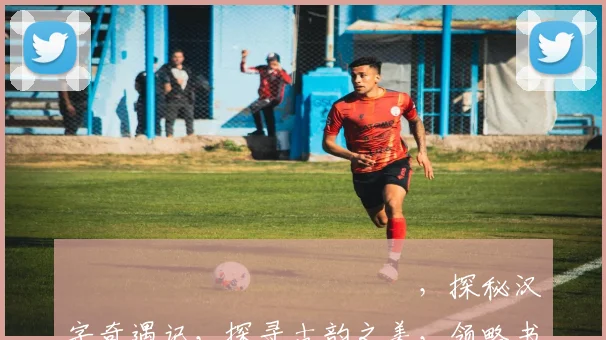 馫龘飝鱻灥麤靐飍馫譶龘，探秘汉字奇遇记，探寻古韵之美，领略书法神韵三重境